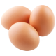 Fresh Eggs