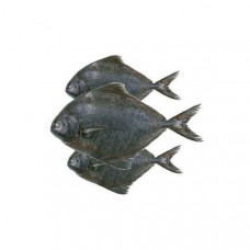 Black Pomfret 1kg