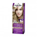 Palette 8-0 Light Blonde Hair Colour 50ml