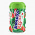 Mentos Watermelon Gum 24g