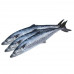 King Fish Small Qatar 1Kg