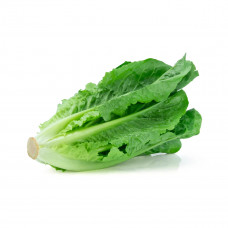 Lettuce Iran 1Kg (Approx) - خس إيران 1كج (تقريبا) Lettuce Iran 1Kg (Approx) - خس إيران 1كج (تقريبا)