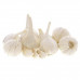 Garlic India 1Kg (Approx) - ثوم هند 1كج (تقريبا)