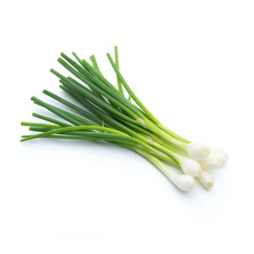 Spring Onion Lebanon 1 Kg(Approx) - بصل اخضر لبنان 1كج (تقريبا)