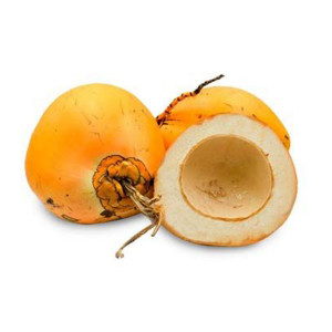 Tender Coconut 1Pc - جوز الهند طري 1حبة ..