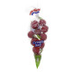 Radish Red Holland 1 Pkt - فجل أحمر  هولندا 1عبوة