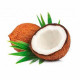 Coconut whole India 1Pc - جوز هند كامل 1حبة