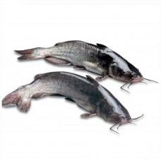 Catfish (Etta) 1Kg