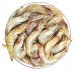 Prawns Iran 1Kg